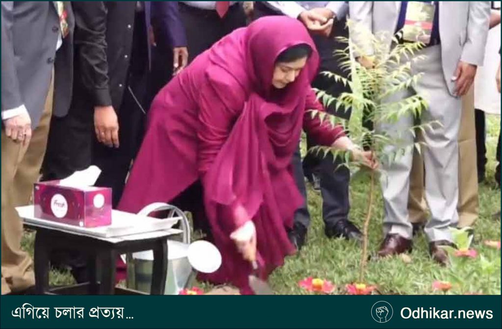 মাসব্যাপী বৃক্ষরোপণ কর্মসূচি উদ্বোধন করলেন ডা. জুবাইদা রহমান