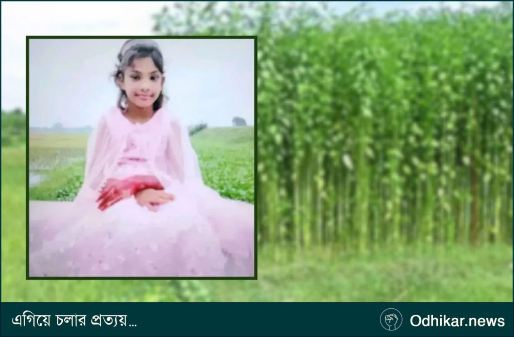 নিখোঁজের পরদিন পাটক্ষেতে মিললো ৯ বছরের কন্যাশিশুর মরদেহ