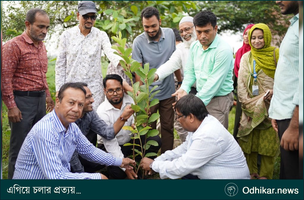 সোনারগাঁও ইউনিভার্সিটিতে জুলাই অভ্যুত্থানের শহীদদের স্মরণে দোয়া ও বৃক্ষরোপণ কর্মসূচি অনুষ্ঠিত
