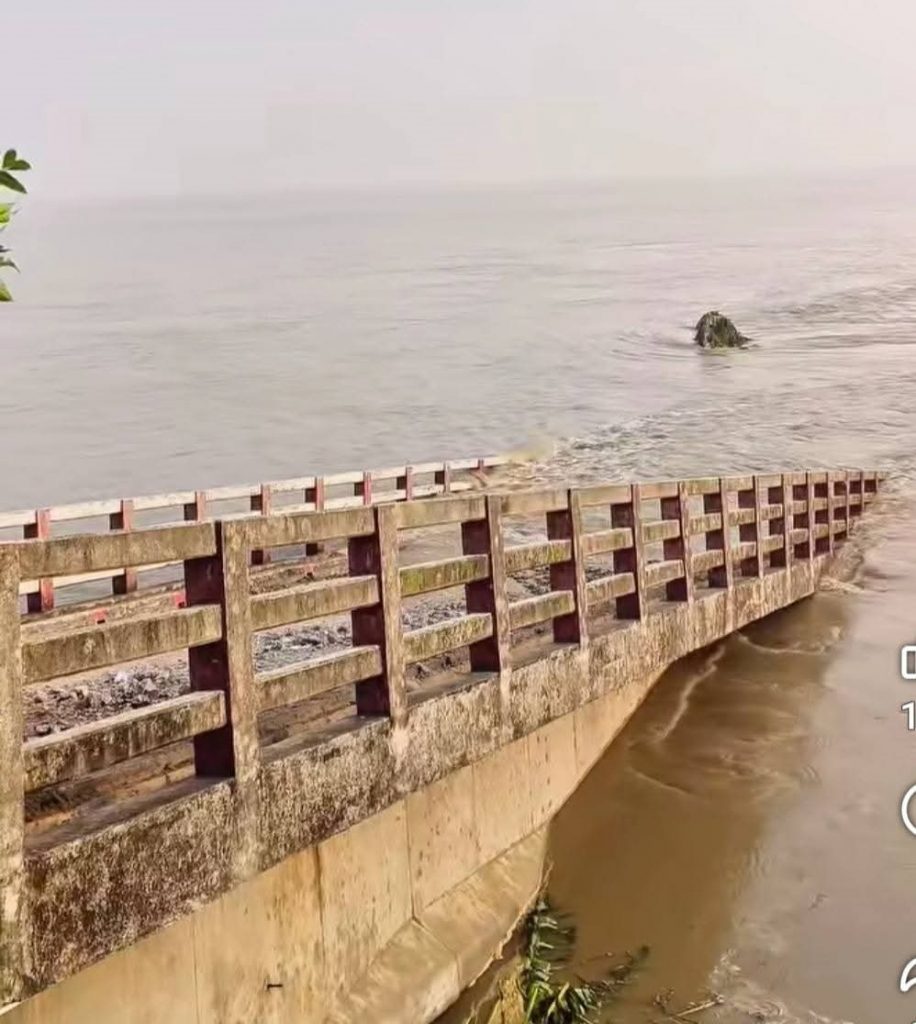 পদ্মার ভাঙনে নদীগর্ভে ৮ কোটি টাকার সেতু, দুর্ভোগে দুই হাজার মানুষ