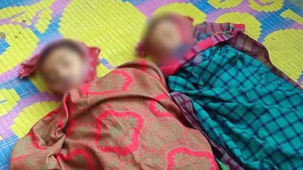 বাড়ির পাশে খেলতে গিয়ে বিদ্যুৎস্পৃষ্টে প্রাণ গেল দুই ভাইয়ের